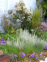 Sandringham Flower Show 6